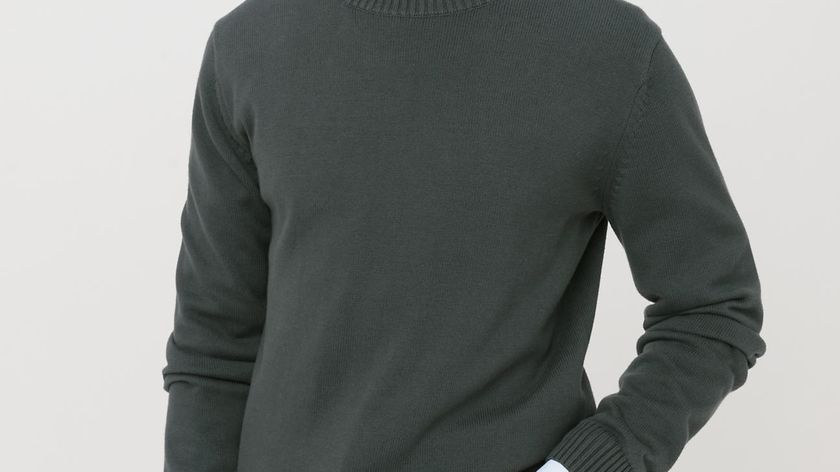 hessnatur Herren Rundhals-Pullover aus Bio-Baumwolle - grün - Größe 50