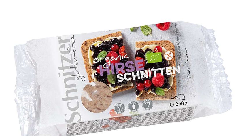 Bio Hirsebrot glutenfrei im 6 x 250 g Sparpack günstiger kaufen