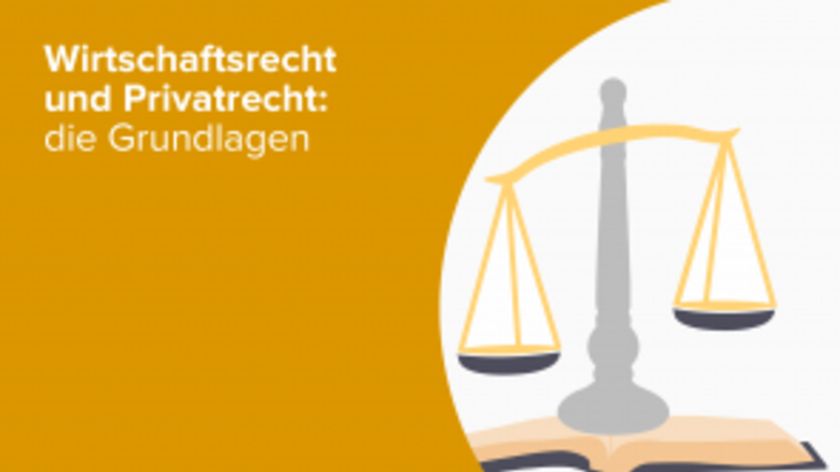 Wirtschaftsrecht und Privatrecht: die Grundlagen