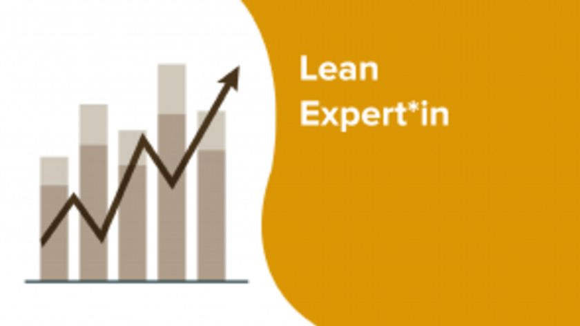 LEAN Expert