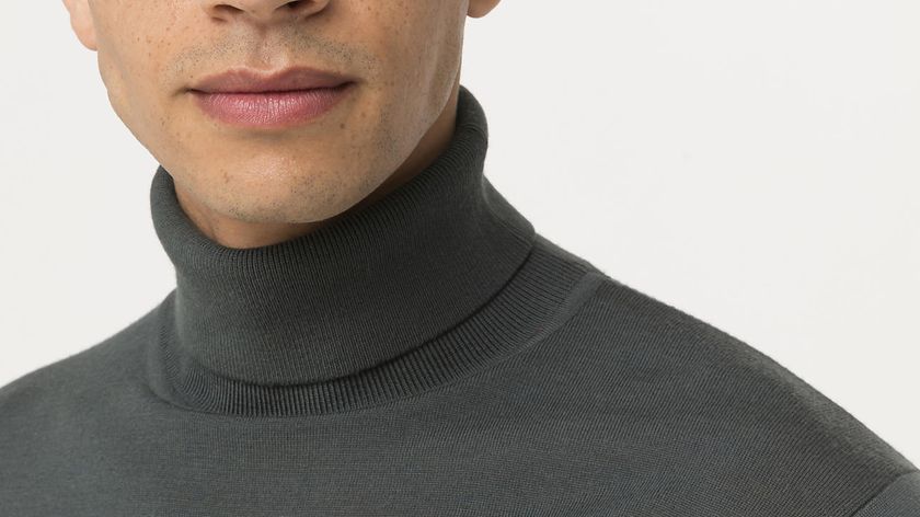 hessnatur Herren Rollkragen-Pullover aus Bio-Merinowolle - grün - Größe 54