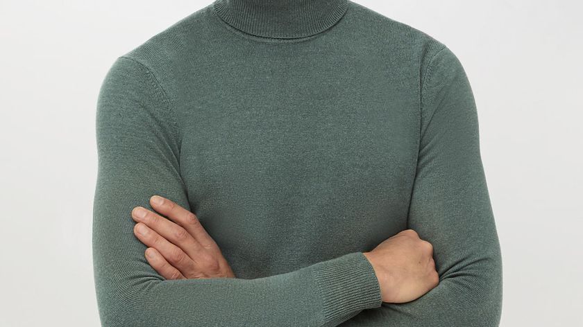 hessnatur Herren Rollkragen-Pullover Regular aus Schurwolle mit Kaschmir - grün - Größe 52