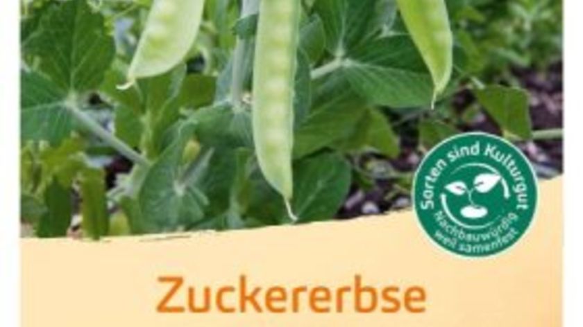 Bingenheimer Saatgut Zuckererbse Ambrosia