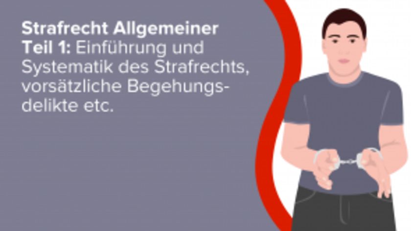 Strafrecht Allgemeiner Teil 1: Einführung und Systematik des Strafrechts, vorsätzliche Begehungsdelikte, Unterlassungsdelikte, Fahrlässigkeitsdelikte, Vorsatz-Fahrlässigkeitskombinationen