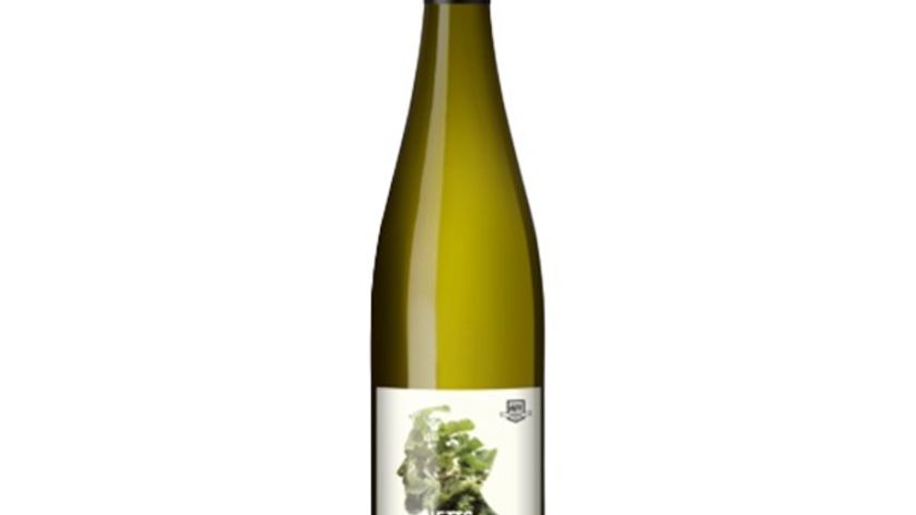 Bergdolt-Reif & Nett - NETTswerk Chardonnay