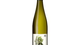 Bergdolt-Reif & Nett - NETTswerk Chardonnay