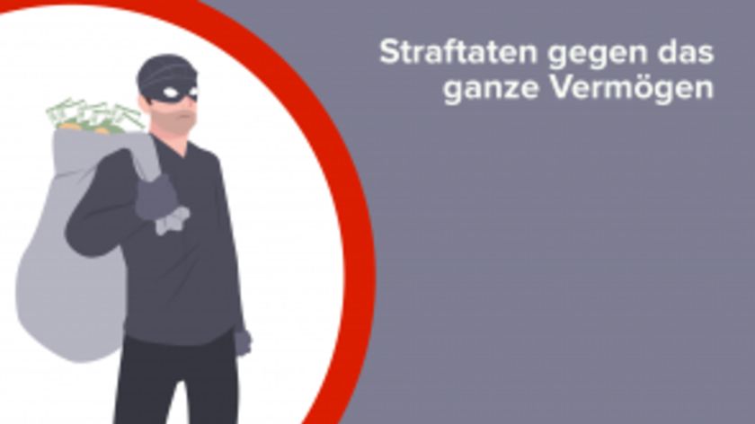 Straftaten gegen das ganze Vermögen