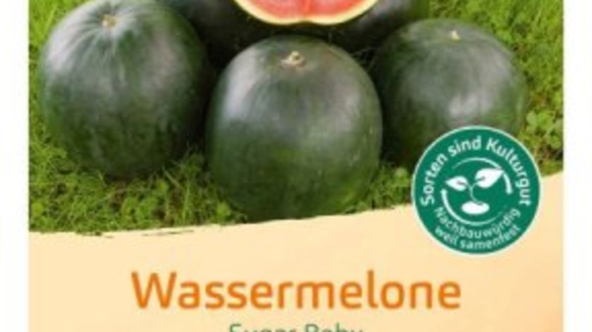 Bingenheimer Saatgut Sugar Baby - Wassermelone