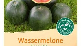 Bingenheimer Saatgut Sugar Baby - Wassermelone