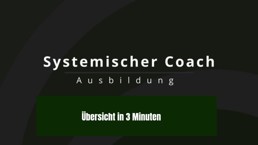 Systemischer Coach -  Was beinhaltet eine gute Coaching Ausbildung