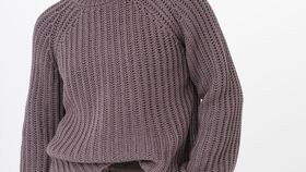 hessnatur Damen Raglan-Pullover aus Bio-Baumwolle und Bio-Merinowolle - lila - Größe L