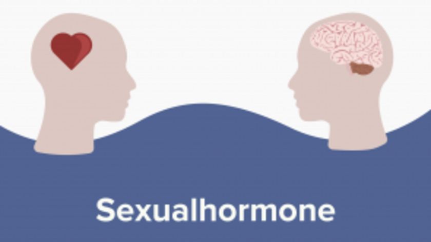 Sexualhormone