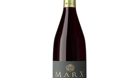 Weingut Marx - Spätburgunder -R-