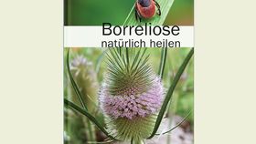 Buch: Borreliose natürlich heilen