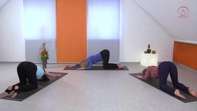 Yoga für den Rücken 2