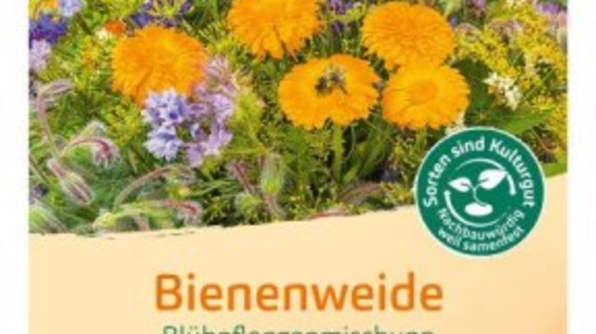 Bingenheimer Saatgut Blumenmischung Bienenweide