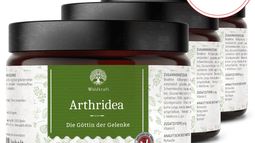 Arthridea 3er-Pack – Die Göttin der Gelenke (900g)