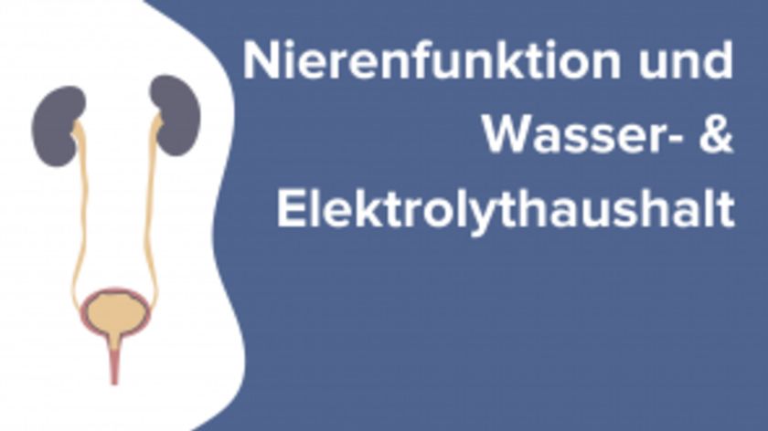 Nierenfunktion und Wasser- & Elektrolythaushalt