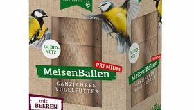 Meisenballen mit Beeren - im Bio-Netz 30er