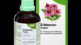 Echinacea Tropfen, 100 ml