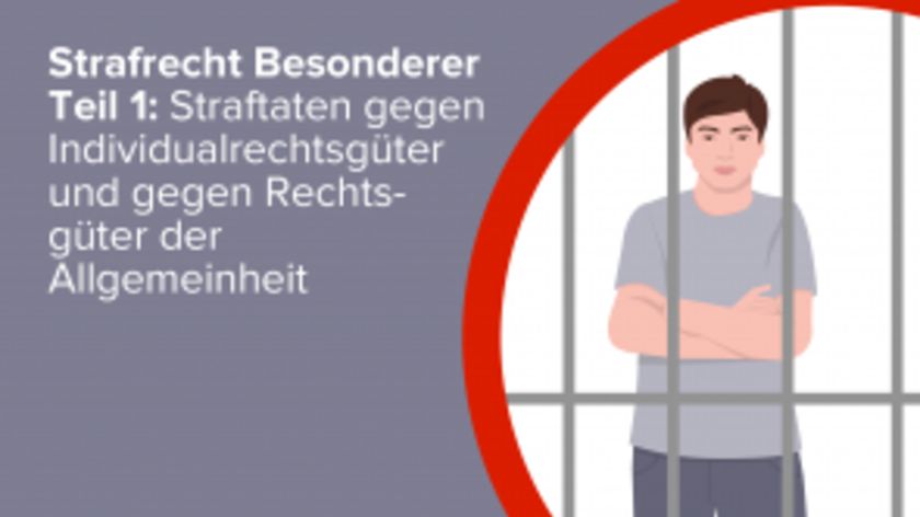 Strafrecht Besonderer Teil 1: Straftaten gegen Individualrechtsgüter und gegen Rechtsgüter der Allgemeinheit