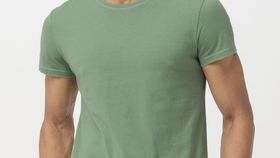 hessnatur Herren T-Shirt Zwirnjersey aus Bio-Baumwolle - grün - Größe 48