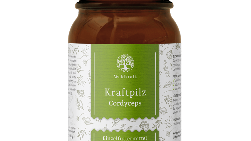 Kraftpilz Cordyceps – Vitalpilzpulver – 100g