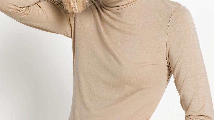 hessnatur Damen Rollkragenshirt aus TENCEL™Modal - beige - Größe 34