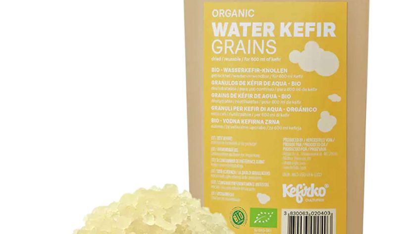 Kefirko Knollen für Wasserkefir als Starter-Kulturen