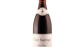 Weingut Chat Sauvage - Assmannshausen Pinot Noir