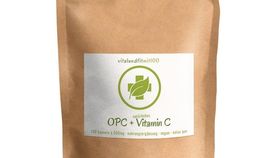 Traubenkernextrakt OPC + Natürliches Vitamin C Kapseln à 500 mg 120 Stück