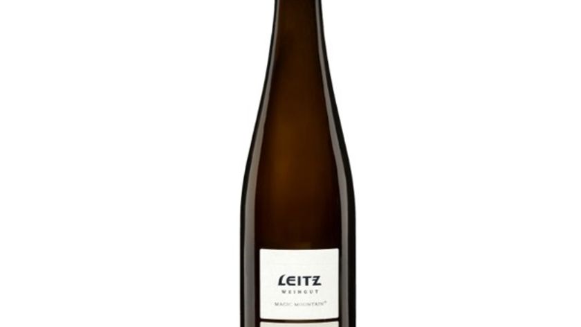 Weingut Leitz - Magic Mountain