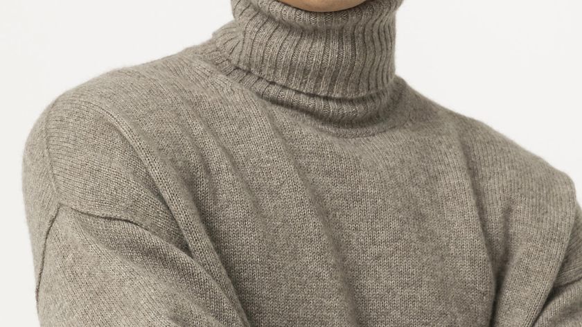 hessnatur Herren Rollkragen-Pullover aus Yak - beige - Größe L