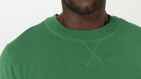 hessnatur Herren Pullover Regular aus Bio-Baumwolle mit Leinen - grün - Größe 56