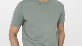 hessnatur Herren Premium T-Shirt Regular aus Bio-Baumwolle - grün - Größe 50