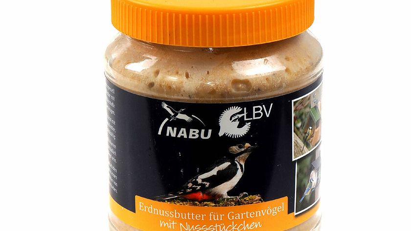 Erdnussbutter für Vögel mit Nussstückchen