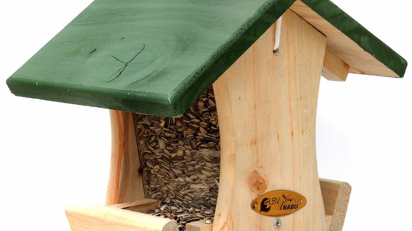 Futterhaus Reno mit 1kg Sonnenblumenkerne