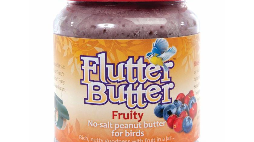 Flutter-Butter ""Fruity"" - Erdnussbutter für Vögel