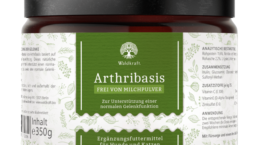 Arthribasis – Natürliche Gelenkunterstützung - 350g