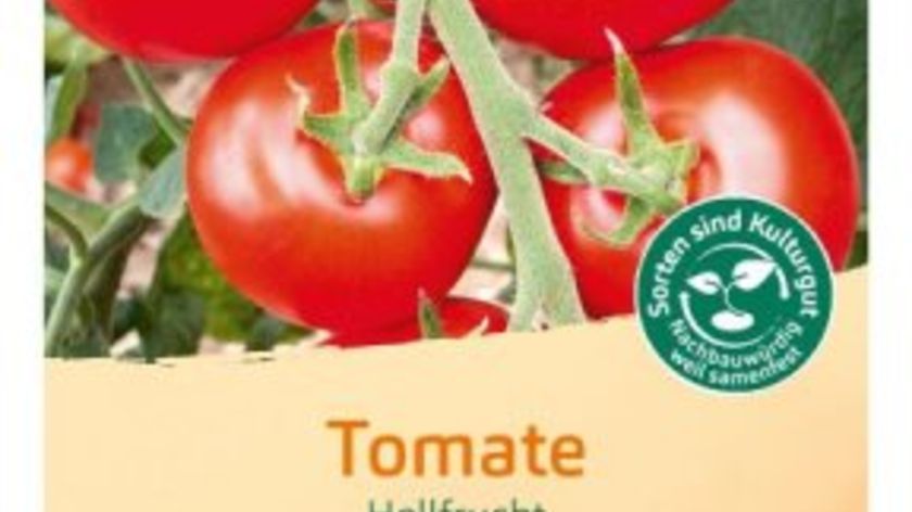 Bingenheimer Saatgut Tomate Hellfrucht