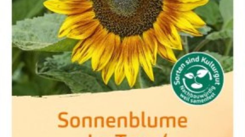 Bingenheimer Saatgut Sonnenblume La Torre