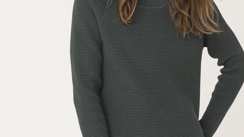 hessnatur Damen Pullover aus Bio-Baumwolle - grün - Größe 34