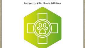 Bioresonanz-Analyse Hund Nachtest