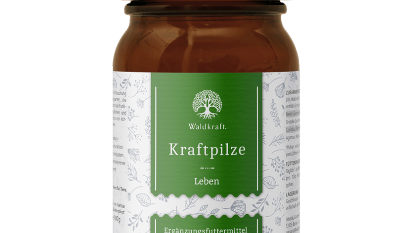 Kraftpilze Leben – Vitalpilz Synergetikum - 100g