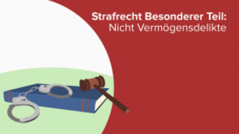 Strafrecht Besonderer Teil: Nicht Vermögensdelikte