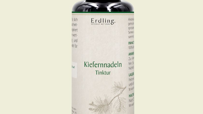 Kiefernnadeln-Extrakt – Wildsammlung - 50ml