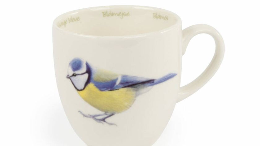 Tasse Blaumeise