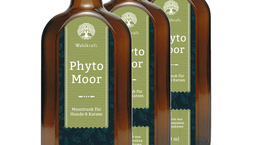 Phyto Moor – Biologisch aktives Vitalstofftonikum 3er-Pack