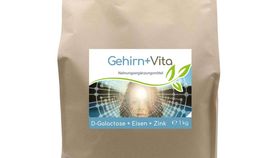 Gehirn+ Vita 1kg Vorratsbeutel (mit D-Galactose, Eisen & Zink)