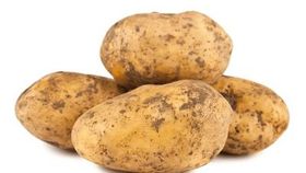 Bio Kartoffel Nicola festkochend 2kg